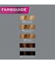 JOHN FRIEDA Precision Foam Colour Farba do włosów 1 szt. 5037156175998 visual-shot_pl
