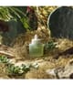 Zdjęcie produktu 6 z 6, WHAMISA Cactus Inner Skin Moisture Serum do twarzy