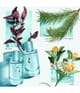 Tiffany & Co. & Love for Her Woda perfumowana 50 ml 3614227728622 visualImage