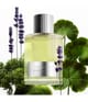 Zdjęcie produktu 3 z 3, TOM FORD Signature Woda perfumowana