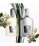 Zdjęcie produktu 4 z 4, TOM FORD Grey Vetiver Perfumy