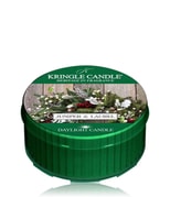 Tinsel Thyme | Single Daylight (1.25oz) | Kringle Candle