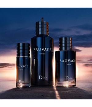 Dior sauvage eau outlet de toilette 100ml