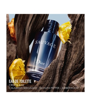Dior sauvage edt 100ml price shop
