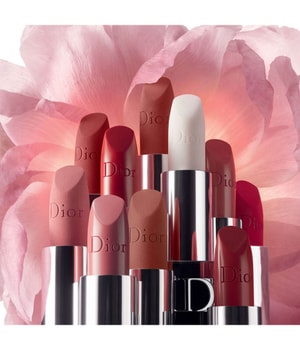 Dior rouge cheap collection