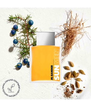 jil sander sun parfum men