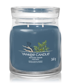 Yankee Candle Bayside Cedar Świeca zapachowa 368 g 5038581129136 base-shot_pl