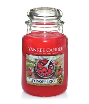 Yankee Candle Red Raspberry Świeca zapachowa 0.623 kg 5038580061871 base-shot_pl