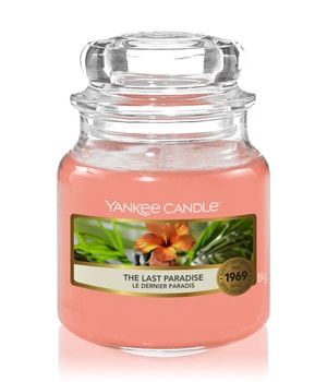 Yankee Candle The Last Paradise Housewarmer 104 g unisex